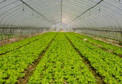 農(nóng)業(yè)部等三部門：開展植保無(wú)人飛機(jī)應(yīng)用試點(diǎn)工作